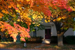 IMG_4211.JPG