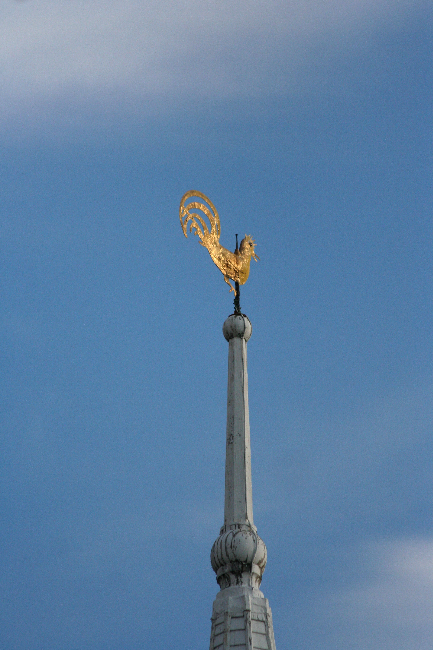 IMG_6800 copy