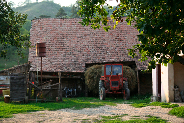 IMG_2699