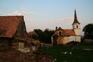 IMG_2769