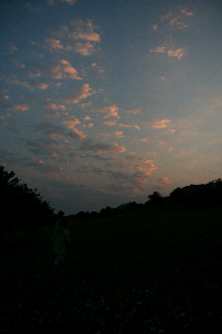IMG_2806