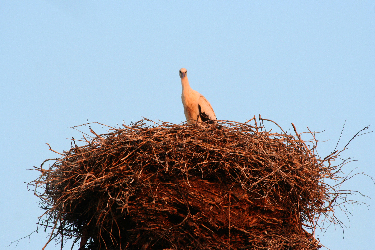 IMG_2865