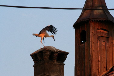 IMG_2866