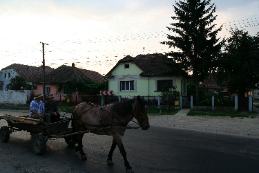 IMG_2892