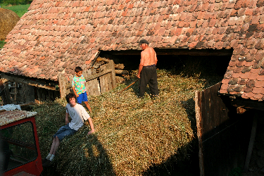 IMG_2973